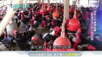 浪板上的哲學　台大生棄高薪返鄉養雞