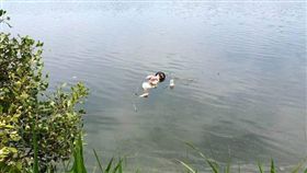 浮屍,將軍溪,充氣娃娃,台南（翻攝臉書）