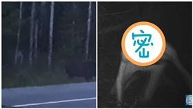 加拿大,鬼影,The Rake,駝鹿,魁北克(圖/翻攝自YouTube)