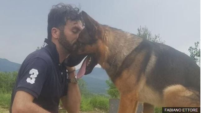地震中救人無數！英雄搜救犬遭毒死