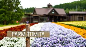 ▲亞洲自由行景點。（圖Tripbaa趣吧！亞洲自由行專家）