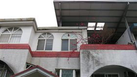 新北市,新店,僑義路,鄰長,行竊,竊盜