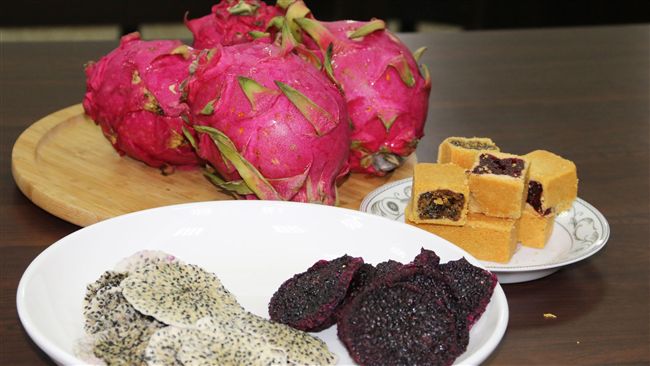 火龍果盛產　弘光科大研發相關產品