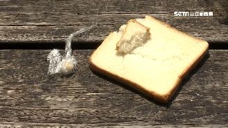 食安沒保障！婦人吃超市吐司竟藏牙齒