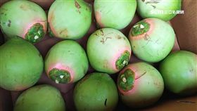 椰水像酒精,胭脂椰,椰子水,粉紅色,酒精,冰鎮