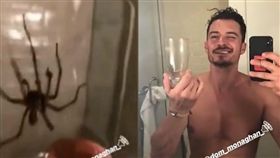 奧蘭多布魯IG動態表示抓到大蜘蛛，顯然全球粉絲注意到是他的全裸。（圖／翻攝自IG）