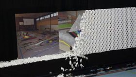 德國,骨牌,金氏世界紀錄,蒼蠅,倒塌（圖／翻攝自Kreis-Anzeiger臉書）