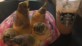 忠孝東路,竹筍,捧場,愛心,同情心（圖/翻攝自爆廢公社）