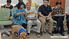 動保團體(圖/記者李英婷攝)
