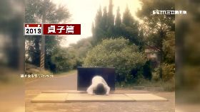 全聯鬼很紅1200-sot