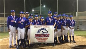 中華少棒代表隊由高雄市聯隊組成。（圖／中華棒協提供）