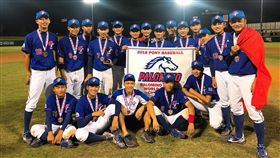 平鎮高中再次拿下小馬聯盟帕馬級世界冠軍。（圖／中華棒協提供）