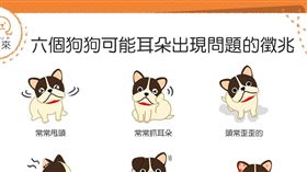 名家／毛起來／狗狗耳朵問題