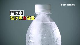 立秋拚旺運1800