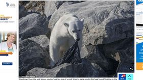 北極熊（圖／攝影者Fabrice Guerin, 翻攝自Daily Mail） 
https://goo.gl/AczSii