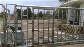 營區,小羊,薪水,衛兵,爆廢公社　圖／翻攝自臉書爆廢公社