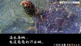 父親節,屏東縣長,潘孟安,阿爸,告白,88節