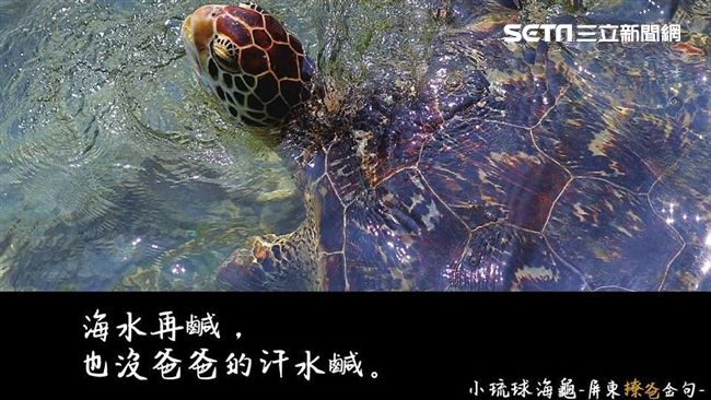 海水再鹹也沒爸汗水鹹！快用圖告白吧