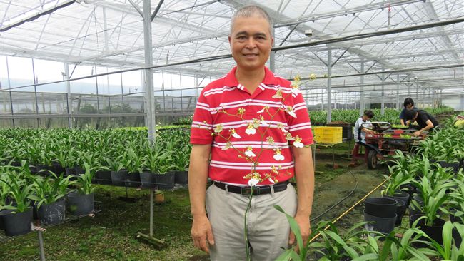 花農陳進興推友善農地　盼遊客來參觀