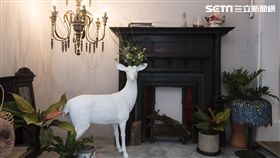 選物店,樂商號,空間概念店,溫州街,選物