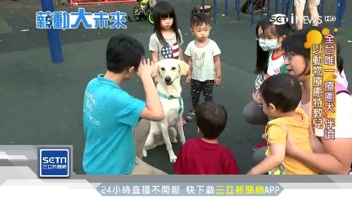 動物輔助治療 療癒犬伴讀特教兒