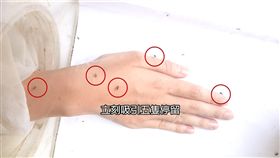 網瘋傳天然驅蚊法　50隻蚊實測效果
SOT
防蚊,驅蚊,天然,檸檬桉,咖啡渣