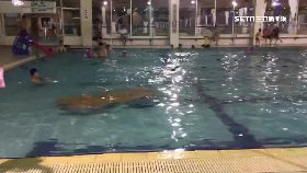 男童泳池溺g2400