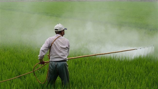美法院裁決！環保署須下令禁用陶斯松