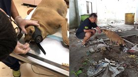 徐園長護生園臉書