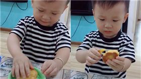 小豬餅乾,小男孩,慘叫,道歉,耳朵(圖/翻攝自抖音)