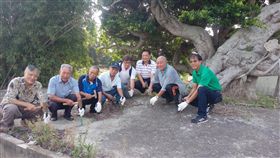 榕樹快被水泥壓死？　生命垂危急搶救