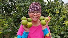 婚變返鄉種安全檸檬　單親媽黃靖惠樂當青農