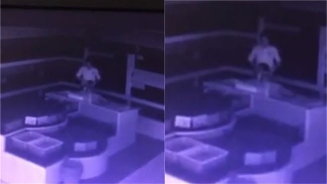 陸男酒店偷5隻螃蟹　活活塞進褲檔