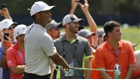 伍茲第2輪展現完美救球功力。（圖／美聯社／達志影像）