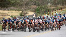 ▲自由車少年公路賽。（圖／自由車協會提供）