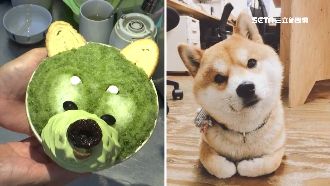 萌力全開！3D「柴犬刨冰」超療癒