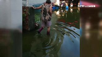 獨／地勢低逢大潮　路竹頂寮晴天淹水