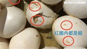 桃園,元山蛋品,臭蛋,液蛋,自助餐,烘焙坊