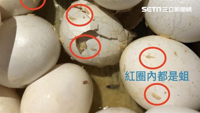 蛆蛋製液蛋⋯檢追流向自助餐、麵包店