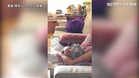 喵星人按摩完，在馬麻懷裡睡著了。