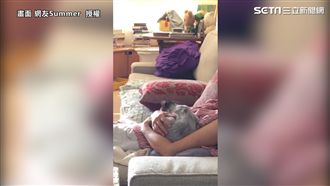 最喜歡撒嬌！　喵星人超萌按摩坊