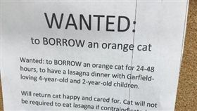 媽媽真偉大！貼傳單徵真貓版「加菲貓」一起共進晚餐（圖／翻攝自@lauren_jade44推特）