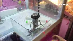 抓娃機現烤1800