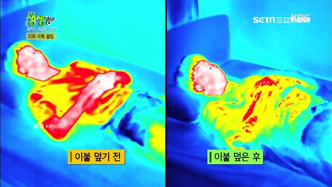 夏天消暑撇步！南韓實驗「蓋被更涼」
