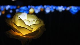 淡水福容飯店,七夕,情人節,淡水漁人碼頭,情人,情人塔,情人橋