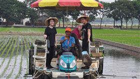 推動友善耕作米　土溝農村美術館進化