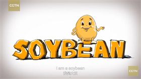 大豆 動畫