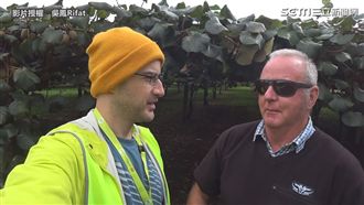紐西蘭人看台灣！好山好水還有好人