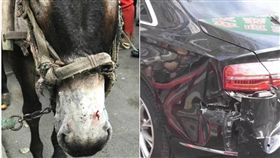 有夠衰！驢子被咬失控踢A8　飼主竟要賠45萬　圖／翻攝自微博
