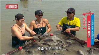 玩客瘋高雄/跟著玩客水底撈金
